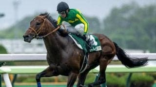 【キーンランドC見どころ】安定感抜群のサトノレーヴが連勝を伸ばすか