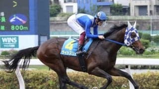 【浦和・ルーキーズサマーC枠順】連勝中の米国産馬ライトスリーは6枠6番