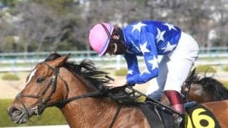 【先週のJRA抹消馬】芝で5勝を挙げたスカーフェイス、ポタジェやルージュバックの半妹にあたるプレミアムスマイルなど