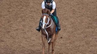 「乗り味は抜群」師も絶賛の1億4000万円馬ダノンカゼルタ 期待の若手と初陣/関西馬メイクデビュー情報