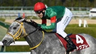 【AI予想・キーンランドC】前走4角での位置取りや年齢がポイント！ それぞれに魅力異なる本命候補3頭