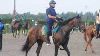 半兄はディープインパクト最終世代の一頭 ゴーソーファーが初陣へ/関東馬メイクデビュー情報