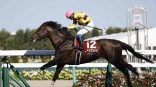 ノースブリッジが6歳で重賞3勝目 村田牧場の至宝・モガミヒメ一族は息の長い活躍馬を送り出す