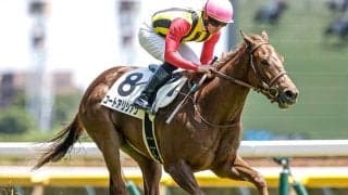 【新潟2歳S想定騎手】コートアリシアンは菅原明良騎手、シンフォーエバーは岩田康誠騎手