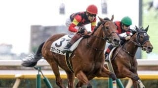 【新潟2歳S展望】好走条件揃ったスターウェーブに注目