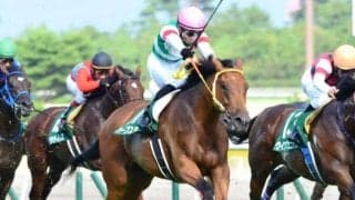 後のGI馬が魅せた上がり3F32.5秒の衝撃 最後方から一気に抜き去った13年の新潟2歳S