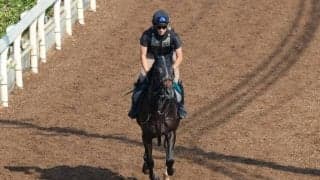 アドマイヤパンドラの2022(ロックエンジェル)など、先週のゲート試験/栗東トレセンニュース