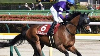 15戦連続乗り替わりの重賞馬 売り出し中の若手を背にキーンランドC制覇なるか