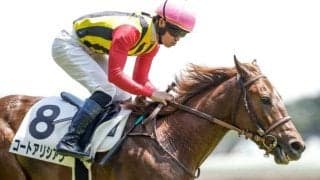 【新潟2歳S予想オッズ】コートアリシアンが予想1番人気