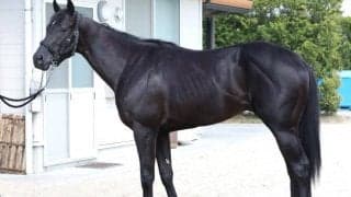 「大物の相がある」新潟2歳S参戦の“九州産馬”に軽視は禁物！