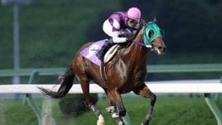 【盛岡・かきつばた賞】スズカゴウケツが2馬身半差快勝…菅原辰「反応が素晴らしかった」