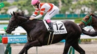 史上初の九州産馬Vへ 新潟2歳Sで“チーム・ヨカヨカ”が再び重賞制覇に挑む