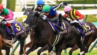 【新潟記念想定】ライトバック、アリスヴェリテなど14頭