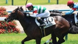 凱旋門賞馬の父に3年ぶりの重賞タイトルを届けるか 新潟2歳Sにバゴ産駒参戦