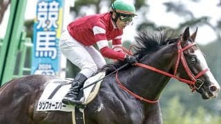 シンエンペラー＆フォーエバーヤングに続け ウマ娘・藤田晋オーナーの愛馬が新潟2歳Sで重賞初制覇狙う