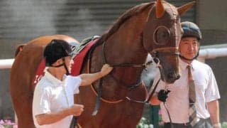 エイシンヒカリ産駒JRA重賞初Vへ “快速馬”の仔が名手を背にキーンランドC参戦