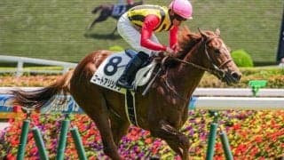 新種牡馬サートゥルナーリア産駒の重賞初Vへ 2頭の娘たちが新潟2歳Sでタイトルを届けるか
