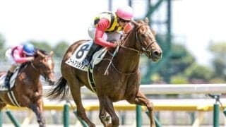 【新潟2歳S予想】AIが推奨する人気の一頭に逆風データ？ 臨戦過程と馬格がカギとなる2歳重賞