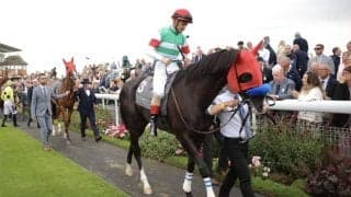 【英インターナショナルS】尾関師「馬に支配されたレースだった」ドゥレッツァは5着敗退