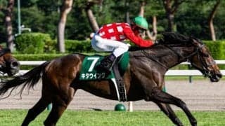 意外性が魅力の一族から再び新潟2歳S覇者の誕生なるか 姉の背中も知る杉原騎手と挑む