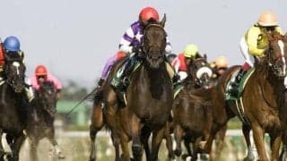 新潟2歳Sで2度記録“直線だけで全頭ごぼう抜き” 芝で4角18番手、ダートで4角16番手から重賞Vの馬は？ 