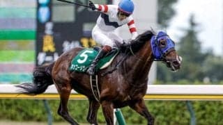 【小倉SJ出走馬・騎手確定】ホッコーメヴィウス＆小牧加矢太騎手、ロスコフ＆草野太郎騎手など6頭