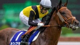 フェブラリーS連覇カフェファラオの全弟 偉大な兄に続く初陣Vへ