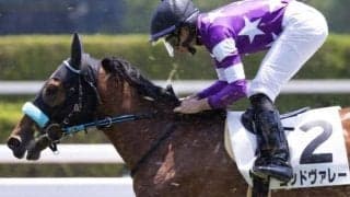 福岡ソフトバンクホークス・柳田悠岐選手の所有馬ゴッドヴァレー オーナーに待望の初勝利を届ける