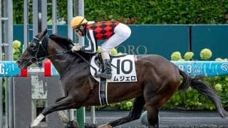 ダートで覚醒の2億円ハーツクライ産駒 「三度目の正直」で待望の3勝目なるか