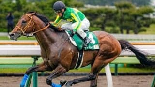 史上3頭目の快挙なるか サトノレーヴが函館SS→キーンランドCの連勝狙う