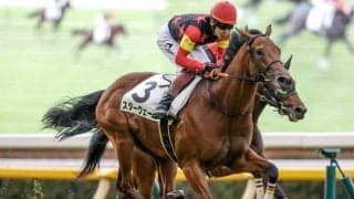 【新潟2歳S枠順確定】スターウェーブは3枠3番、コートアリシアンは6枠6番