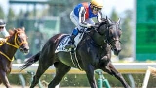 【新潟記念想定馬・騎手】ライトバック、キングズパレスなど13頭