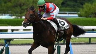 【小倉2歳S想定馬・騎手】レイピア、エンドレスサマーなど13頭