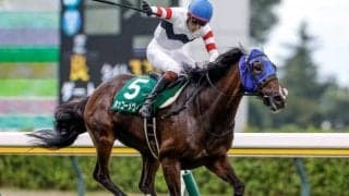 【小倉SJ予想】過去の傾向から先行力は不可欠 真夏の障害重賞を制すのは？