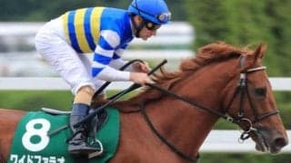先週重賞初Vの福永祐一厩舎 今週はかしわ記念覇者の半弟で新馬初V狙う