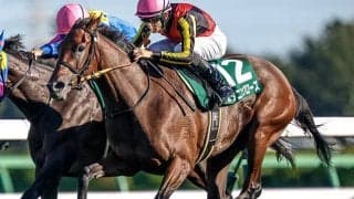 坂路で良血馬らしい伸びを披露 GI馬スタニングローズの半妹が初戦Vへ態勢万全