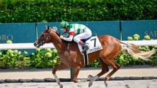 【札幌5R新馬戦結果】ゴールドドリーム産駒グランジョルノが差し切り勝ち