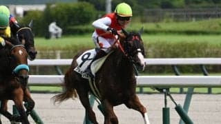 【中京5R新馬戦結果】10番人気のオルフェーヴル産駒ショウナンラフィネが逃げ切りV