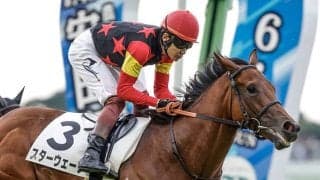 【新潟2歳S予想】前走1600m組がポイント キャリアの浅い2歳戦は前走での経験が明暗を分ける