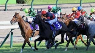 【WASJ・第2戦】ルメール騎乗 シュバルツクーゲルが人気に応える