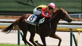 【新潟2歳S前日オッズ】コートアリシアンが2.3倍で1番人気