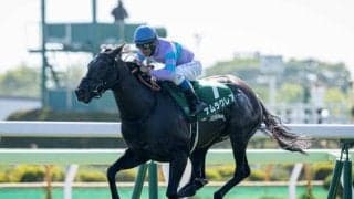 【キーンランドC前日オッズ】ナムラクレアが2.5倍で1番人気