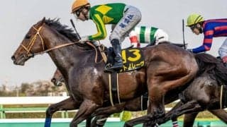 【AI予想・キーンランドC】枠の傾向が顕著なスプリント戦 重賞連勝へ人工知能も太鼓判