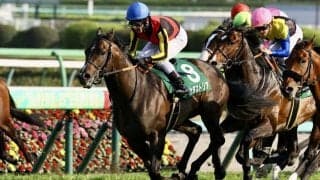 インダストリアの競走馬登録抹消