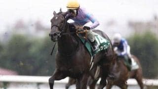 【今日の注目ポイント】新潟2歳Sと札幌ではキーンランドCとWASJ後半戦