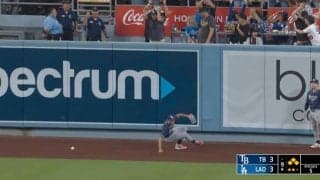 アイツ、やっちゃったな！ 大谷翔平の“劇的サヨナラ弾”で悲劇… あるファンに世界中が注目「トラウマものだな」