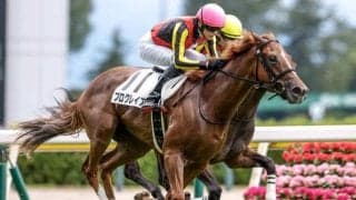 【新潟2歳S予想】世代最初のマイル重賞 未来のスターホースに近づくのは？