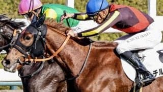 皐月賞馬ジオグリフの半妹 長久手特別で3勝目狙う