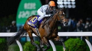 【門別・ブリーダーズゴールドC枠順】無傷6連勝中オーサムリザルトは8枠11番