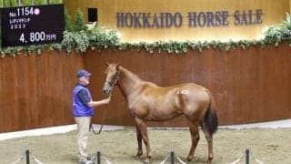 全6日間のサマーセールが終了 977頭の売却総額は約64億円